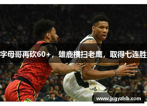 字母哥再砍60+，雄鹿横扫老鹰，取得七连胜