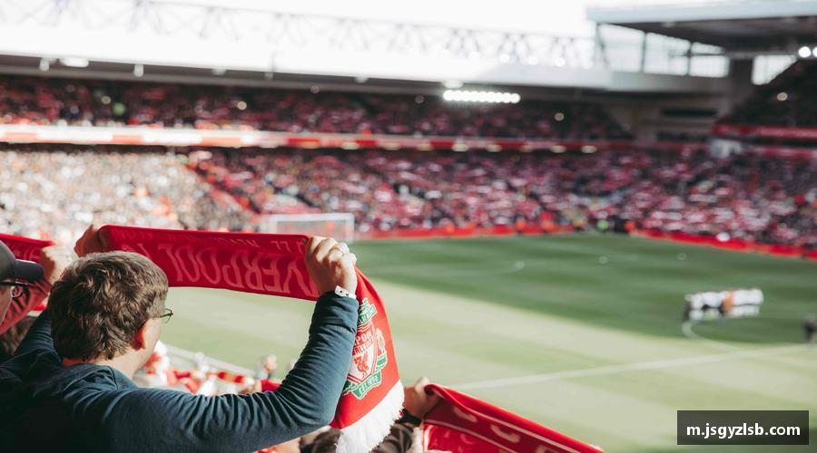 3377平台跃动青春，激情体育